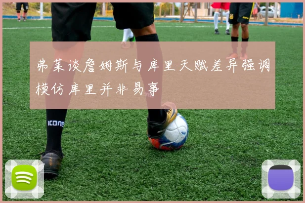 弗莱谈詹姆斯与库里天赋差异强调模仿库里并非易事